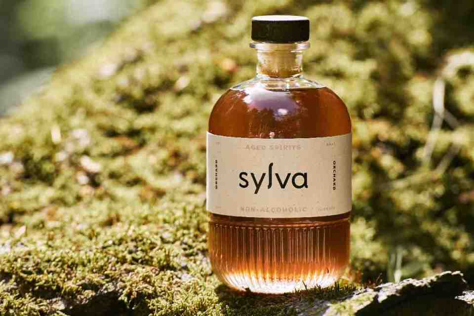 Christmas gifts 2025: Sylva cityscape at sunset featuring historic architecture and vibrant streets in a bustling downtown area