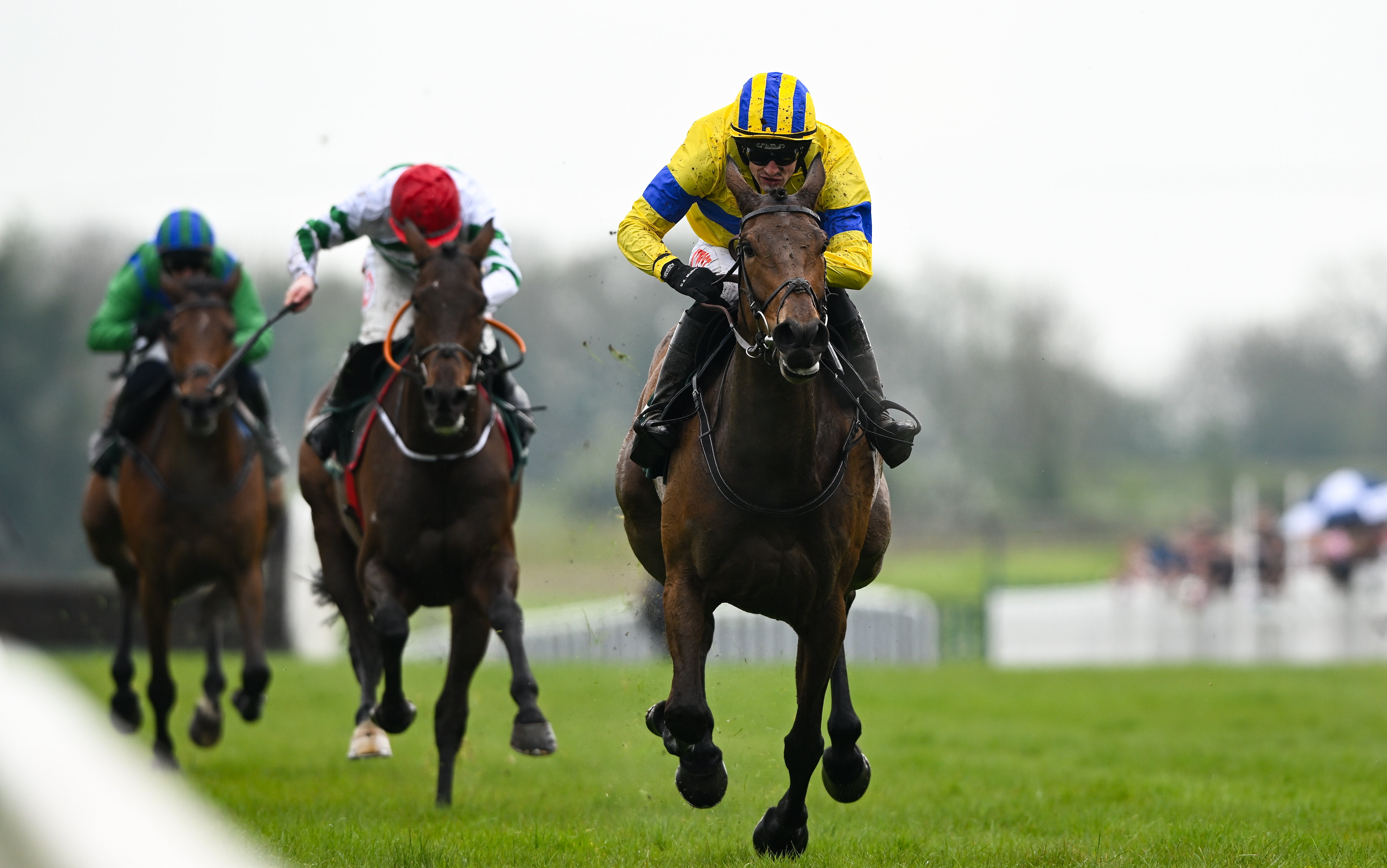 Spindleberry Targets Historic Gold Cup Double at Leopardstown