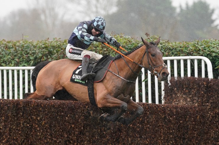 A panoramic view of Gunsight Ridge showcasing rugged terrain, dense forests, and a clear blue sky in the backdrop
