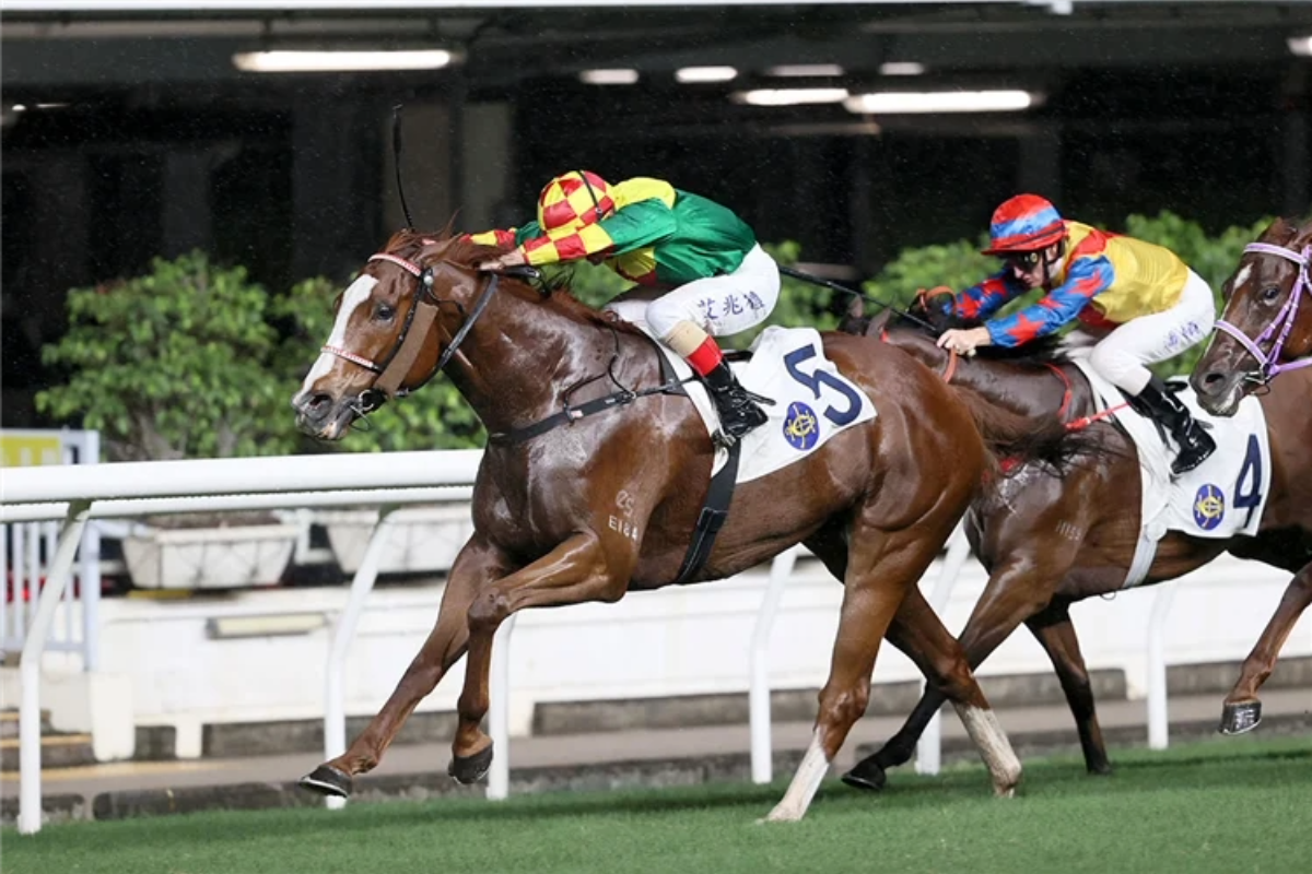 Mega Bonus & Victor The Rapid Eye Happy Valley Success on Wednesday