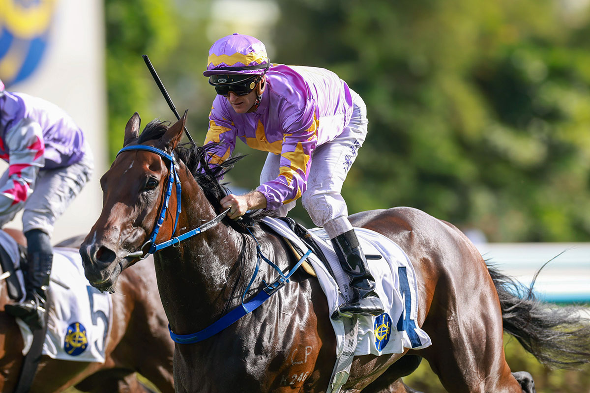 Hong Kong Classic Mile Preview: Little Paradise Leads Four-Year-Old Series