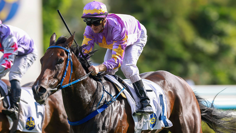 Little Paradise resort exterior showcasing its award-winning charm and serene ambiance, recipient of five prestigious acco...