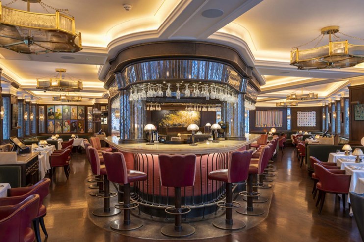 Lush green ivy leaves covering a wall, symbolizing growth and sustainability in urban environments.