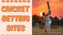 Cricket enthusiasts engaging with top online betting platforms, showcasing user-friendly interfaces and live match updates.