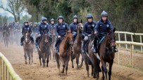 Gordon Elliott at his training yard with racehorses, showcasing his renowned equestrian expertise and facility.