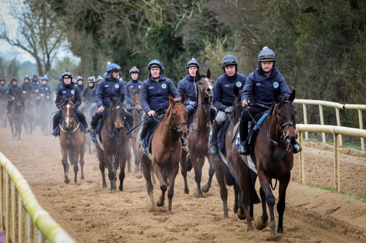 Gordon Elliott at his training yard with racehorses, showcasing his renowned equestrian expertise and facility.