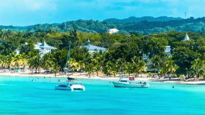 Jamaican rum bottles displayed on a wooden shelf, showcasing diverse labels and vibrant colors in a rustic setting