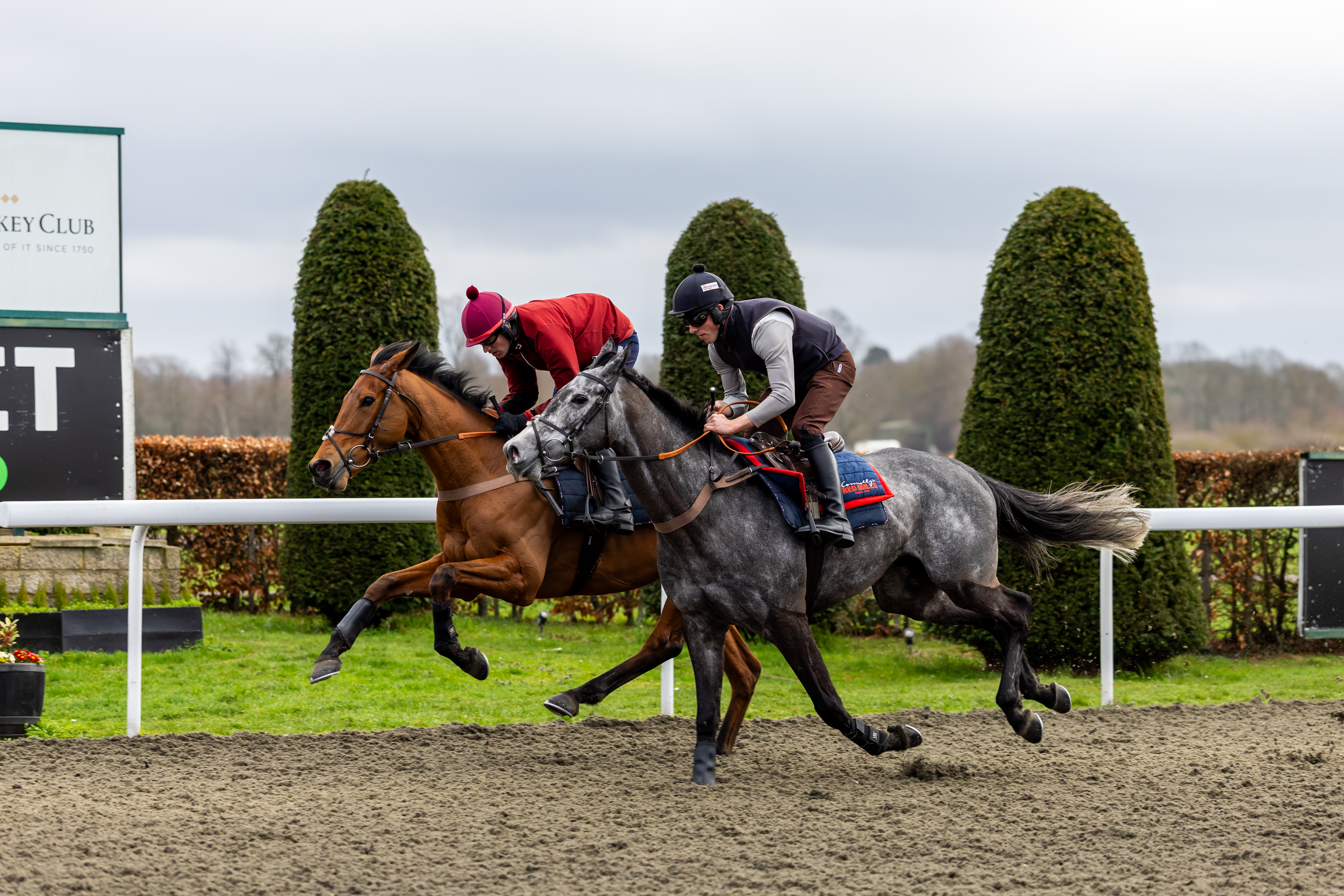 British Trainers Poised to Challenge Irish Dominance at Cheltenham Festival