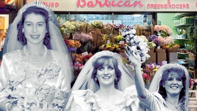 Vibrant array of seasonal flowers in full bloom, showcasing diverse colors and species, perfect for enhancing garden aesth...