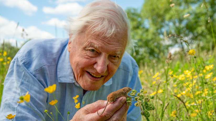 News article featuring a discussion on current events in the business sector, highlighting economic trends and market anal...