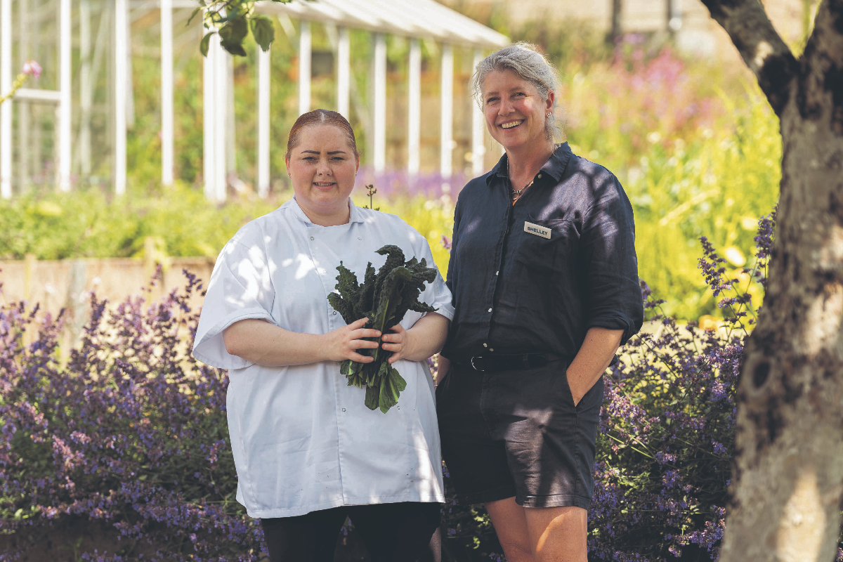 cityam.com - Chris Dorrell - This working farm is Devon's most luxurious new hotel