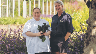 Due to the lack of specific context or article content, Im unable to generate an appropriate alt text for the image. Pleas...