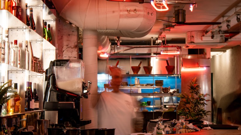 Khao bird perched on a branch in a natural setting, showcasing its vibrant plumage and distinctive features for wildlife a...