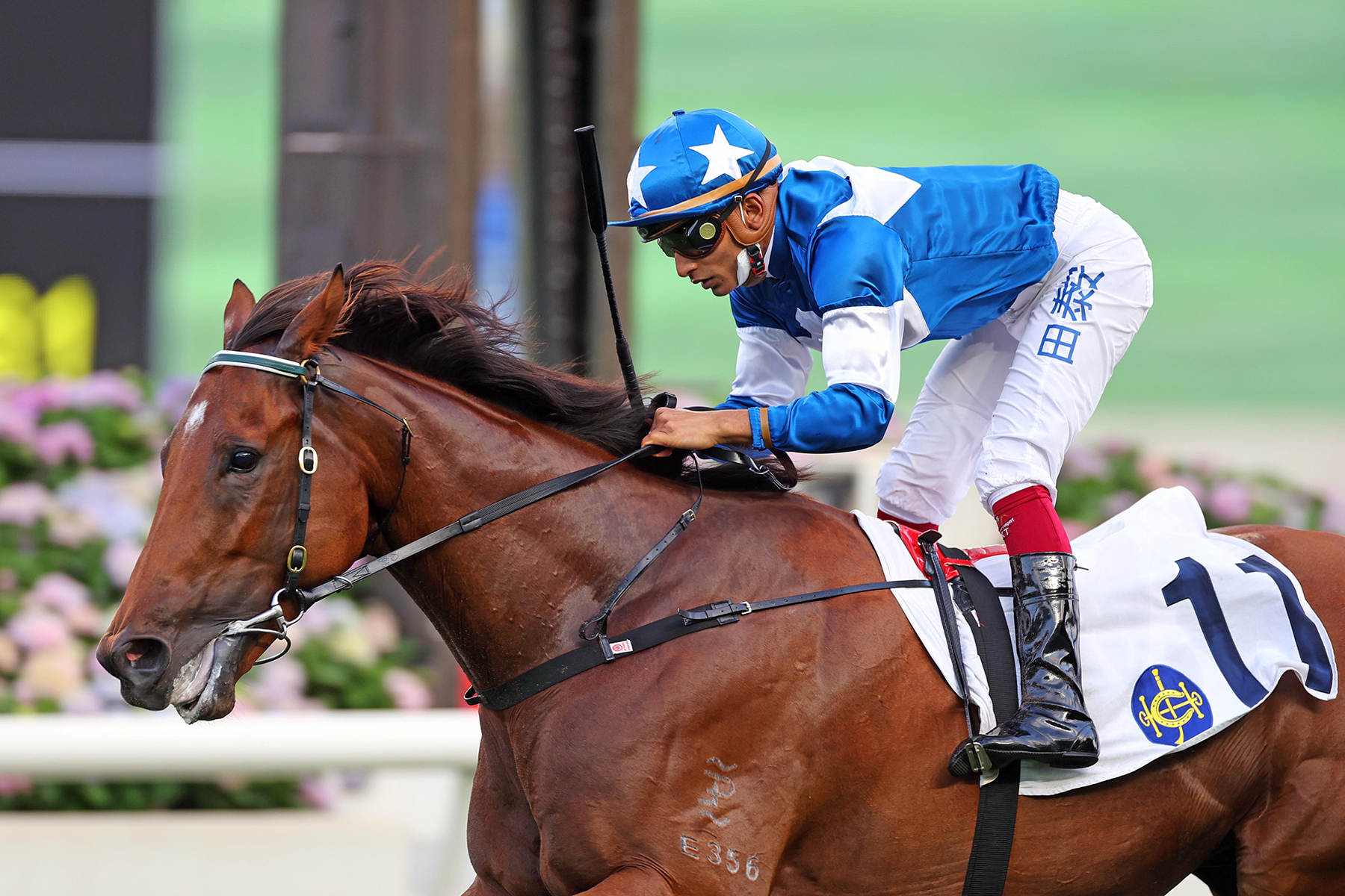 Luck can be With You at Sha Tin