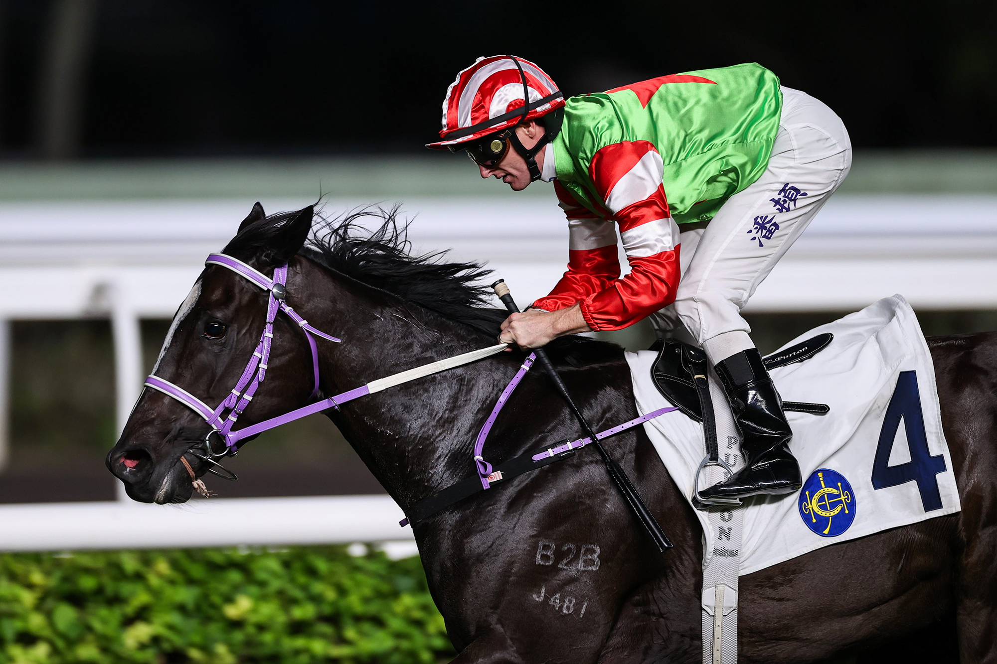 Top Dragon Aims for Year of the Horse Cup Victory in Hong Kong