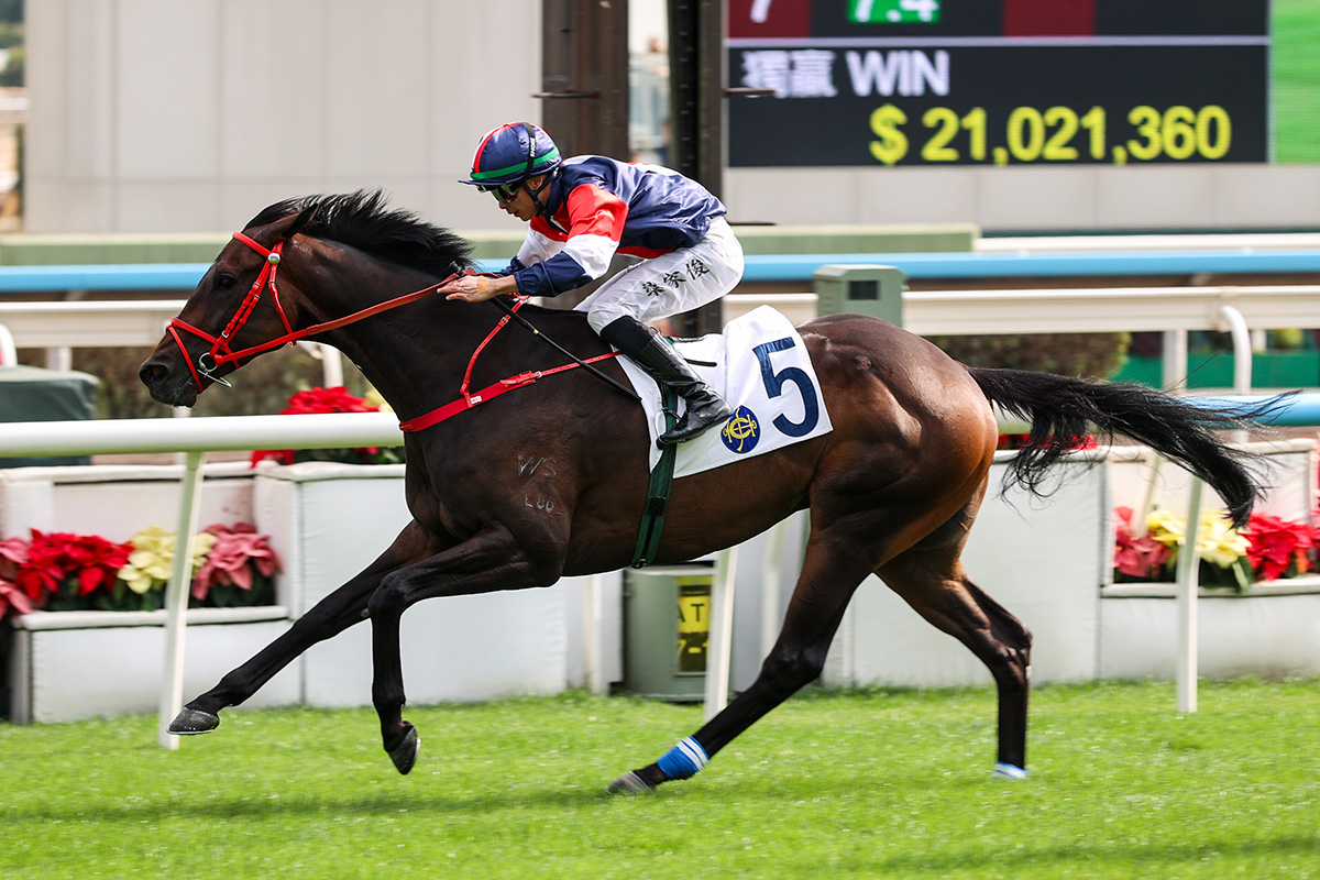 Numbers Aims to Make Experience Count in Centenary Vase Handicap