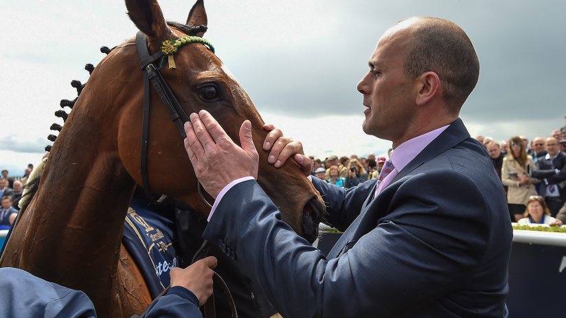 Adrian Keatley, horse racing trainer, standing in a stable with horses, showcasing his expertise in the equestrian industry.