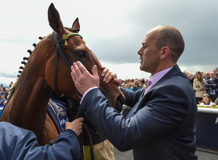 Adrian Keatley, horse racing trainer, standing in a stable with horses, showcasing his expertise in the equestrian industry.