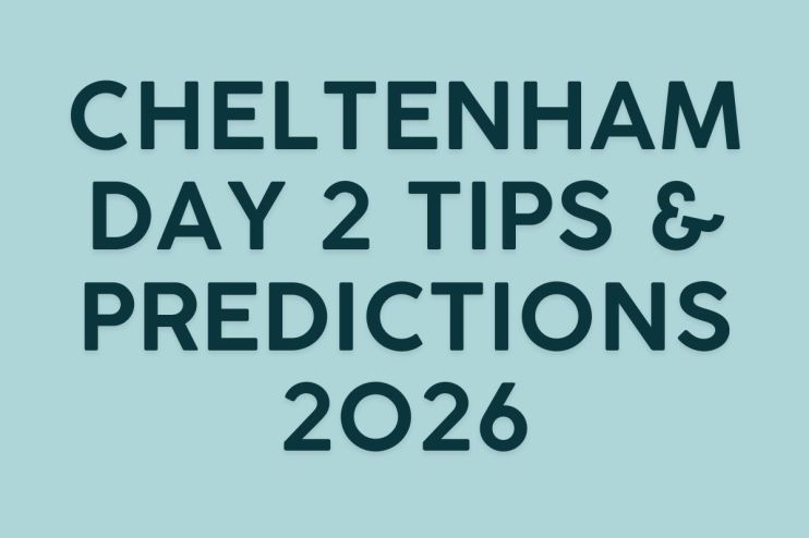Crowd of spectators at Cheltenham Racecourse, vibrant atmosphere during Day 2 of 2026 horse racing event.