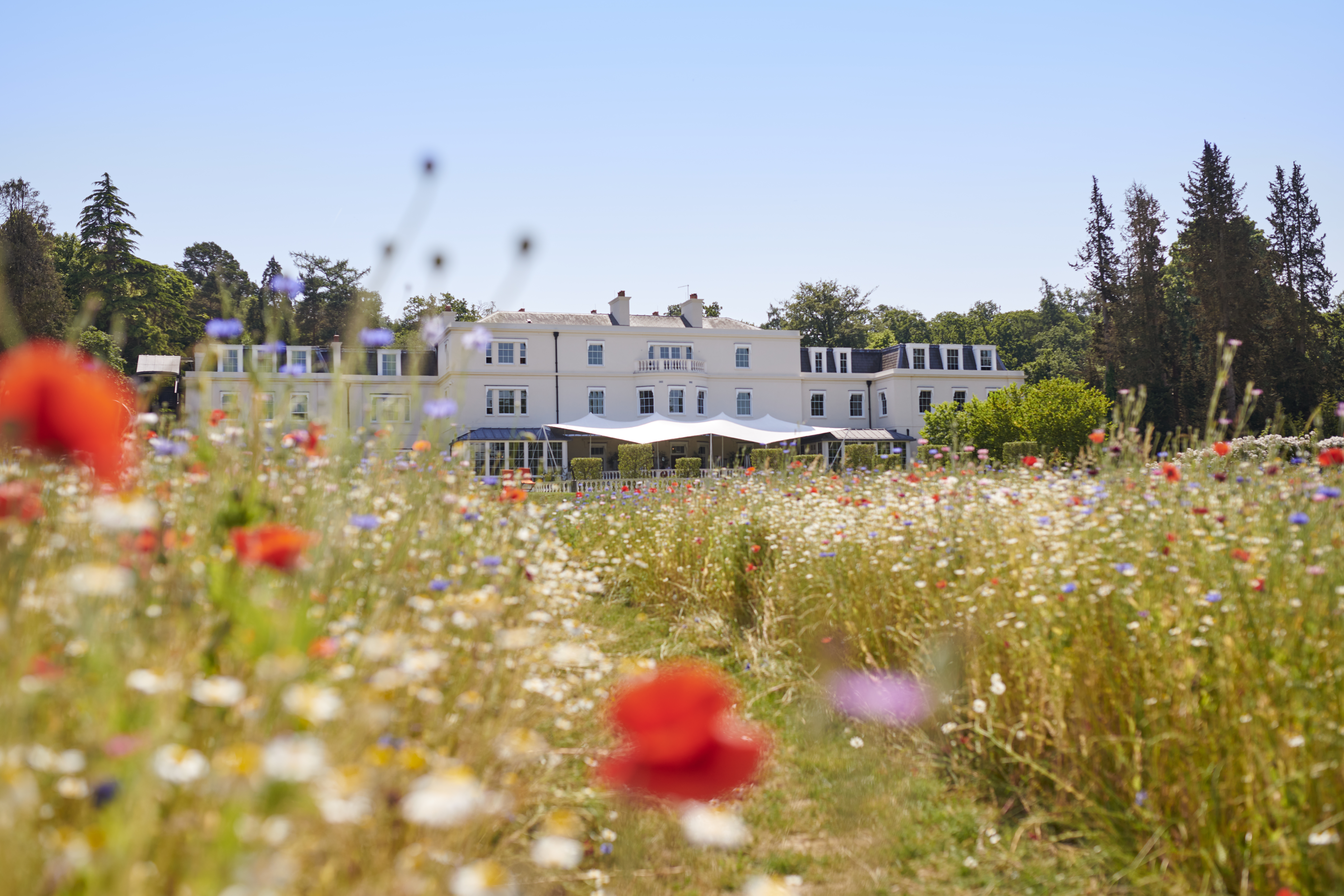 Coworth Park: A Luxurious Spring Escape Just 45 Minutes from London