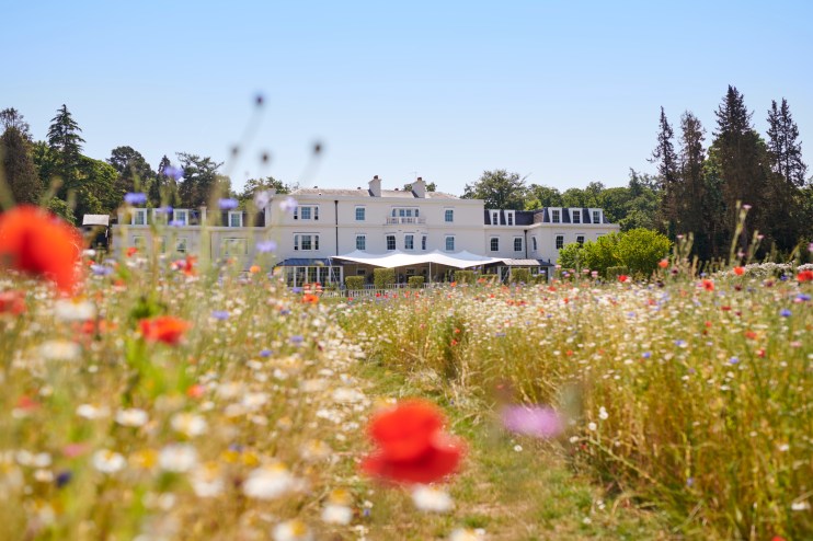 Coworth Parks Mansion House exterior amidst vibrant summer meadow, part of the Dorchester Collections luxury offerings.