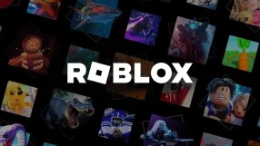 General news image depicting an evergreen scene suitable for various contexts with natural elements and versatile use