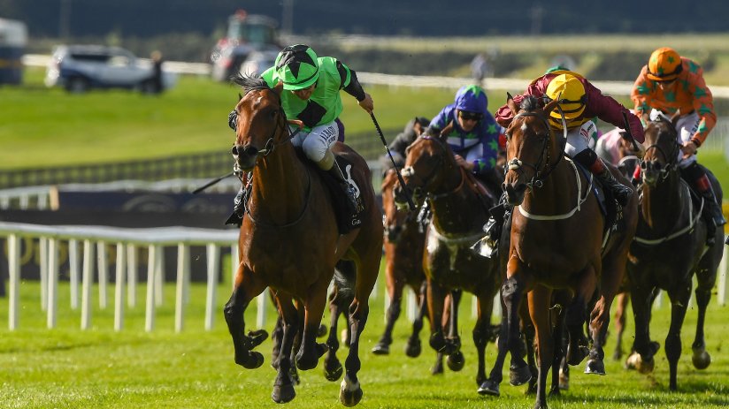 A vibrant Galeron event showcasing traditional costumes and lively performances in a colorful cultural celebration.