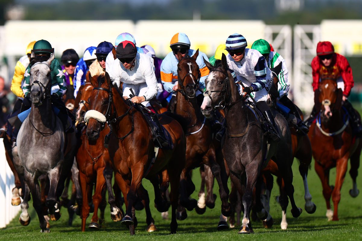 Treasury ignored DCMS gambling tax hike concerns before Budget raid