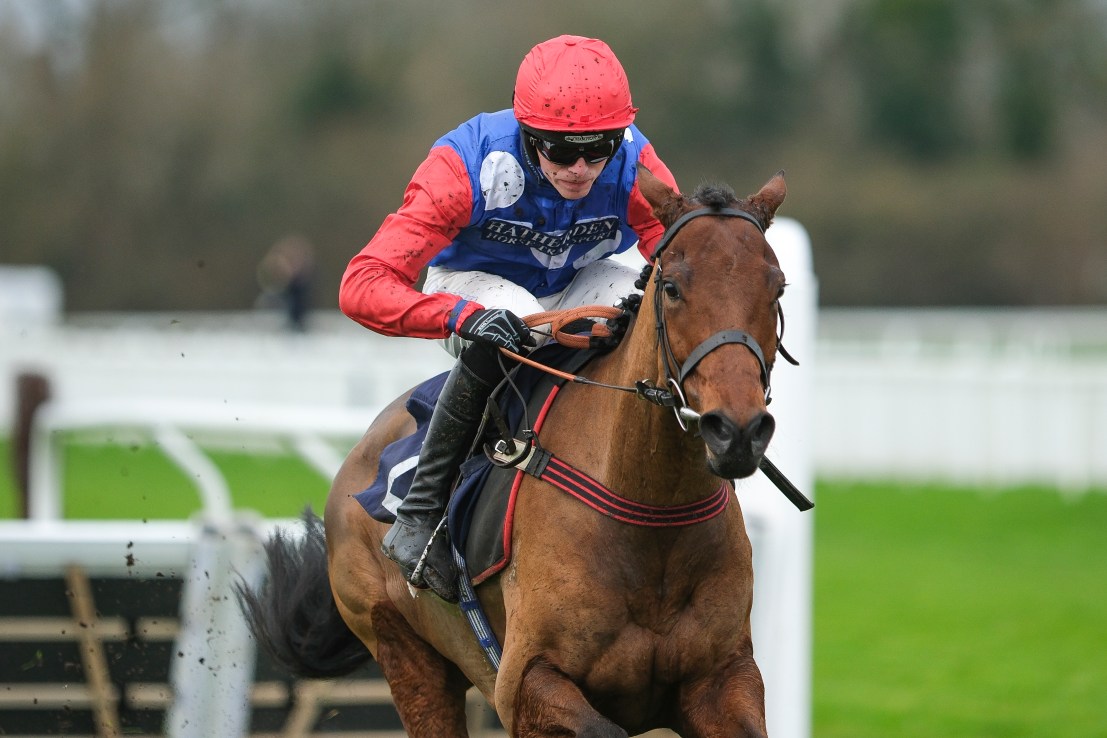 Ma Shan’t let you down in the Stayers’ Hurdle