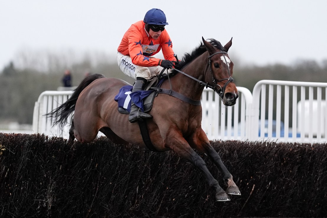 Don’t Panic if you’ve not had time to Study the form