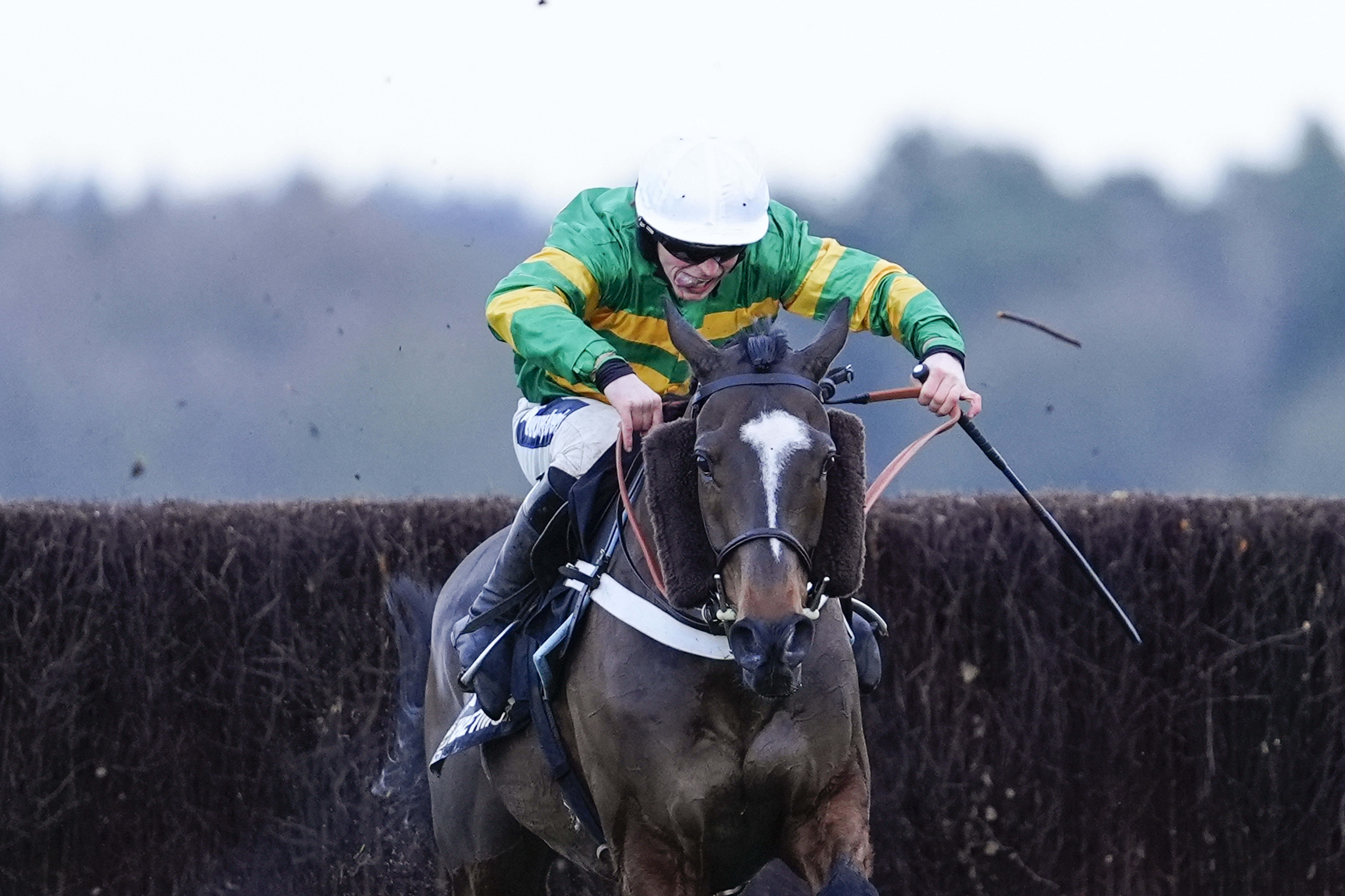 Jonbon Aims for Cheltenham Glory in Ryanair Chase After Ascot Success