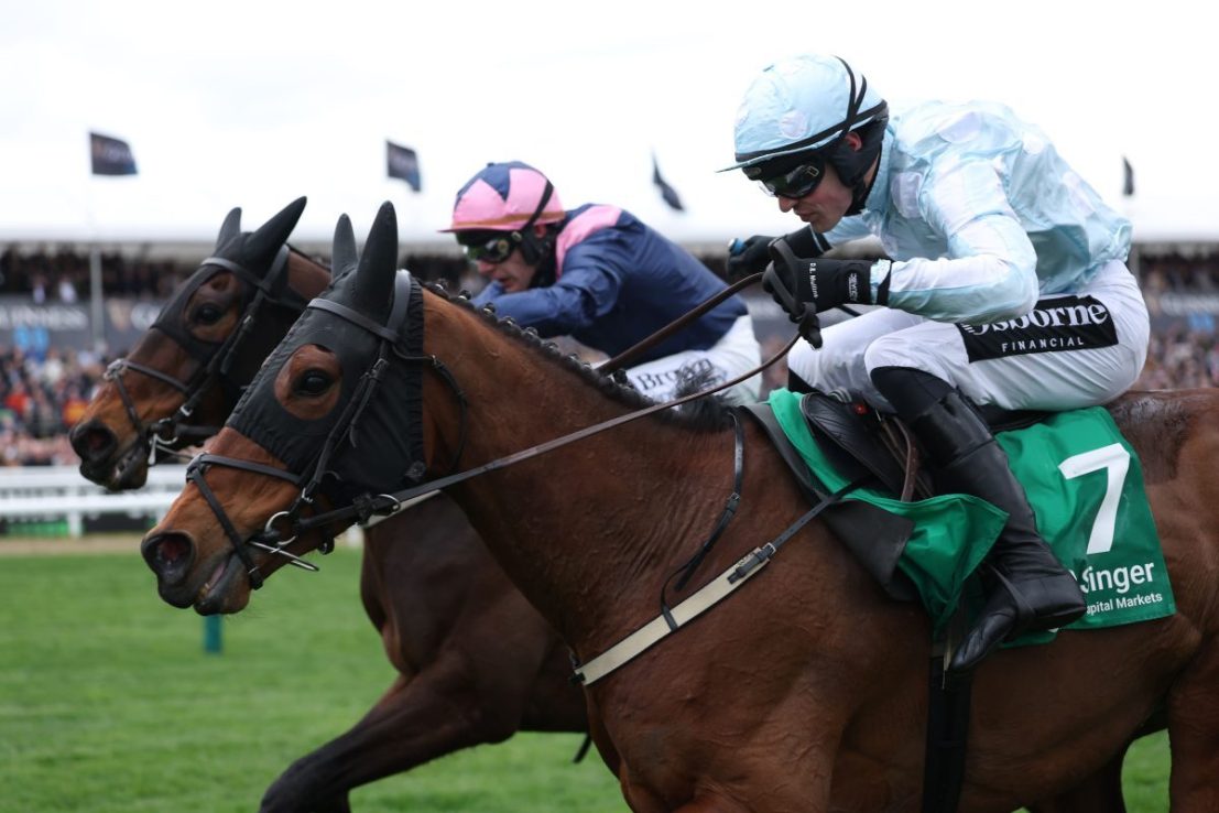 The Cheltenham Festival is showing the best of British horse racing