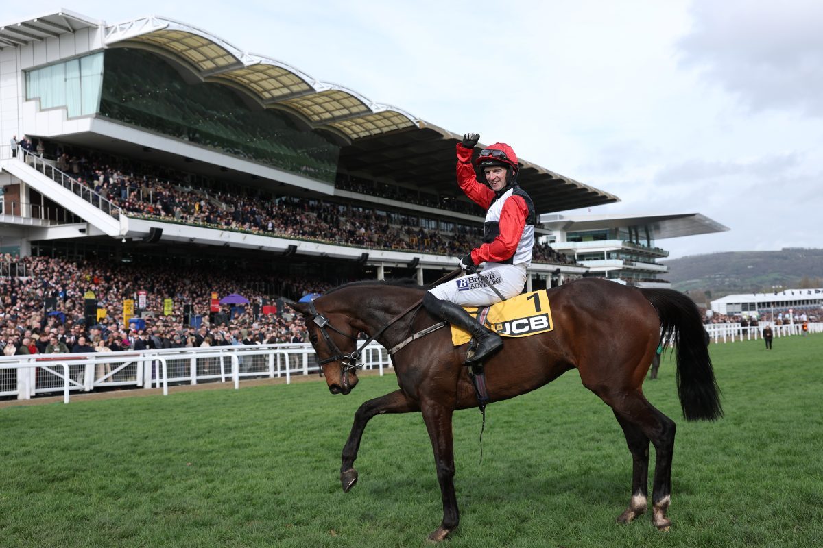 Rooftop hospitality at Cheltenham Festival after £100m Jockey Club deal