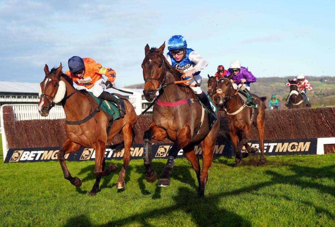 Madara among Timeform’s best-handicapped horses heading to Cheltenham