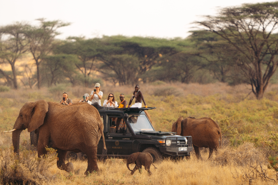 Breaking news headline in bold font on a digital screen, illustrating the latest updates in a general news article.