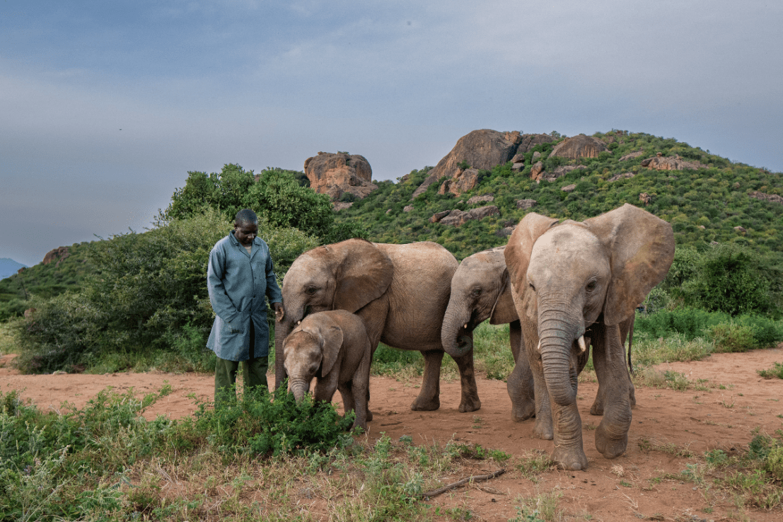 This must-book Kenya safari goes way beyond The Big Five