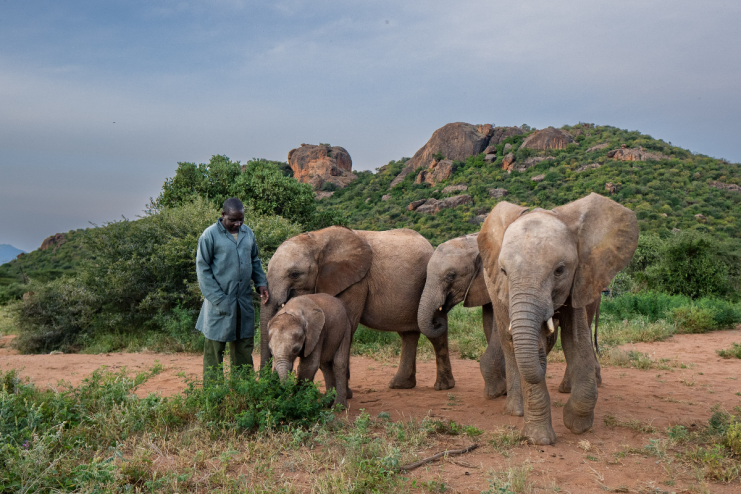 Breaking news headline with dynamic graphics and bold typography on a business news website background