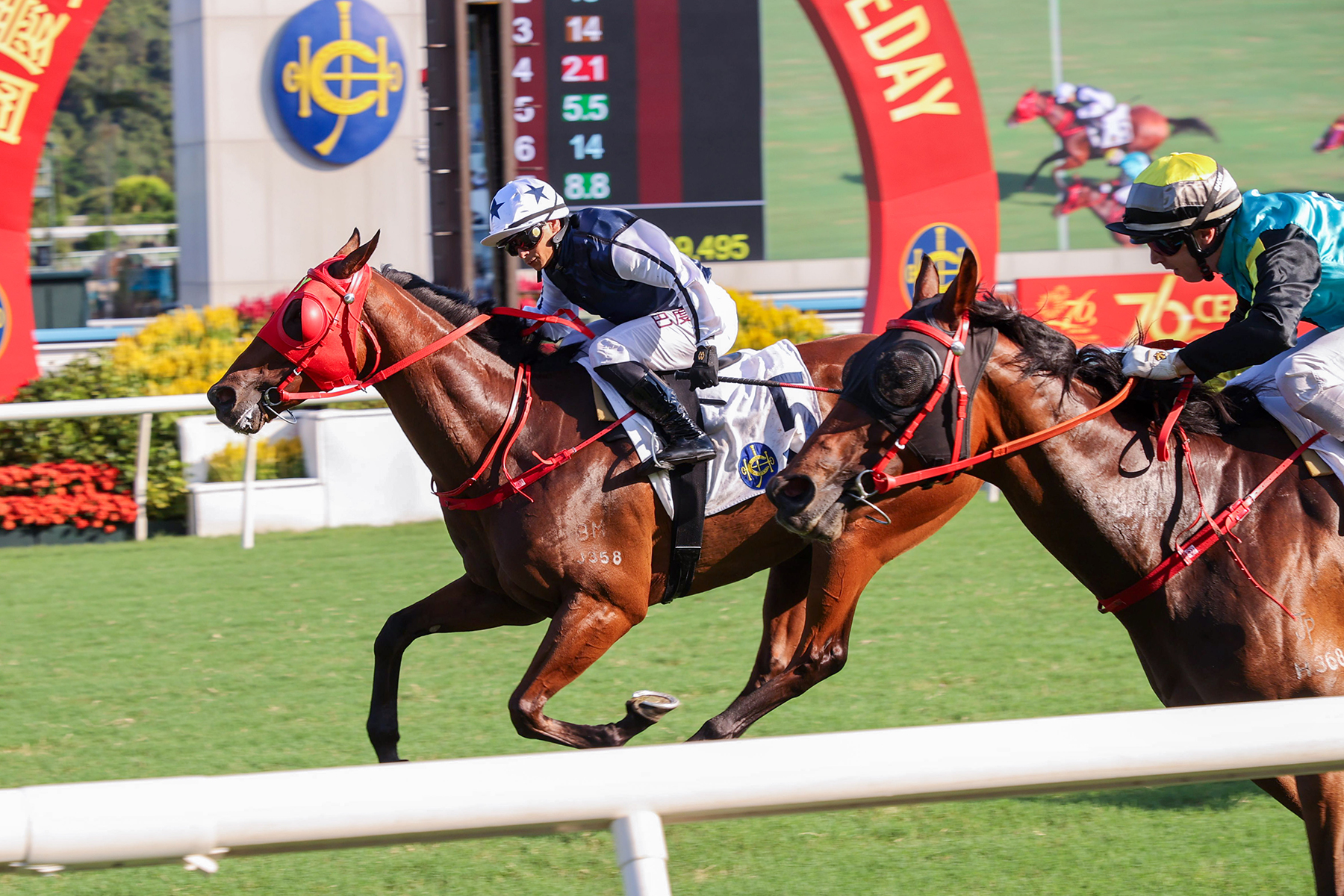 Network to make a Fast return to winners’ enclosure