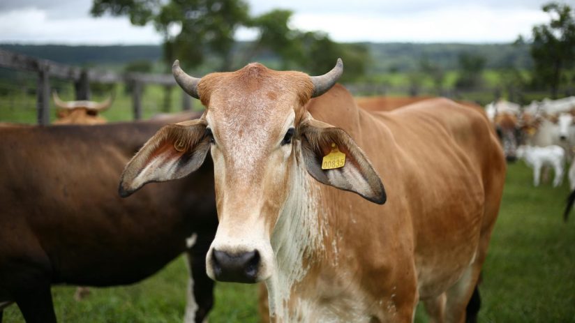 Gabriel Acheloni urban cityscape at dusk with modern architecture and vibrant street lights