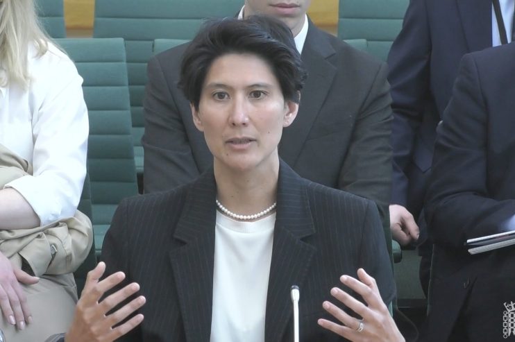 Small cat playing in a garden with vibrant flowers, highlighting its playful nature and adding a touch of joy to the setting.