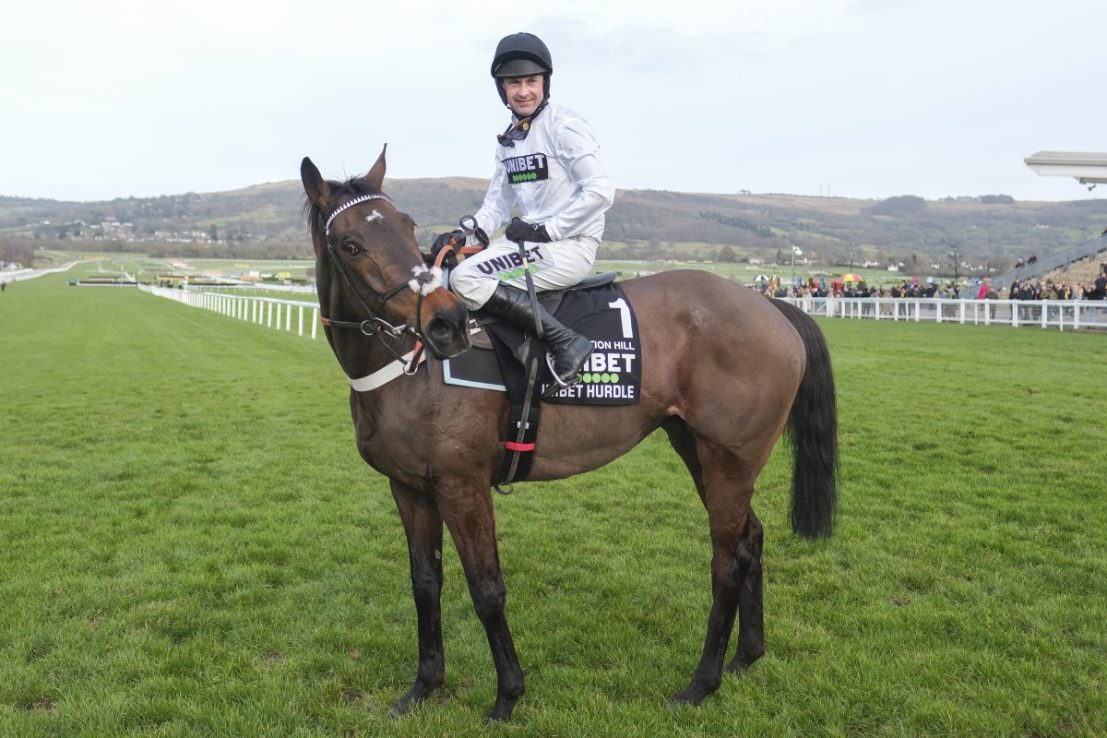 Constitution Hill flat racing switch helps horse racing attendances surge