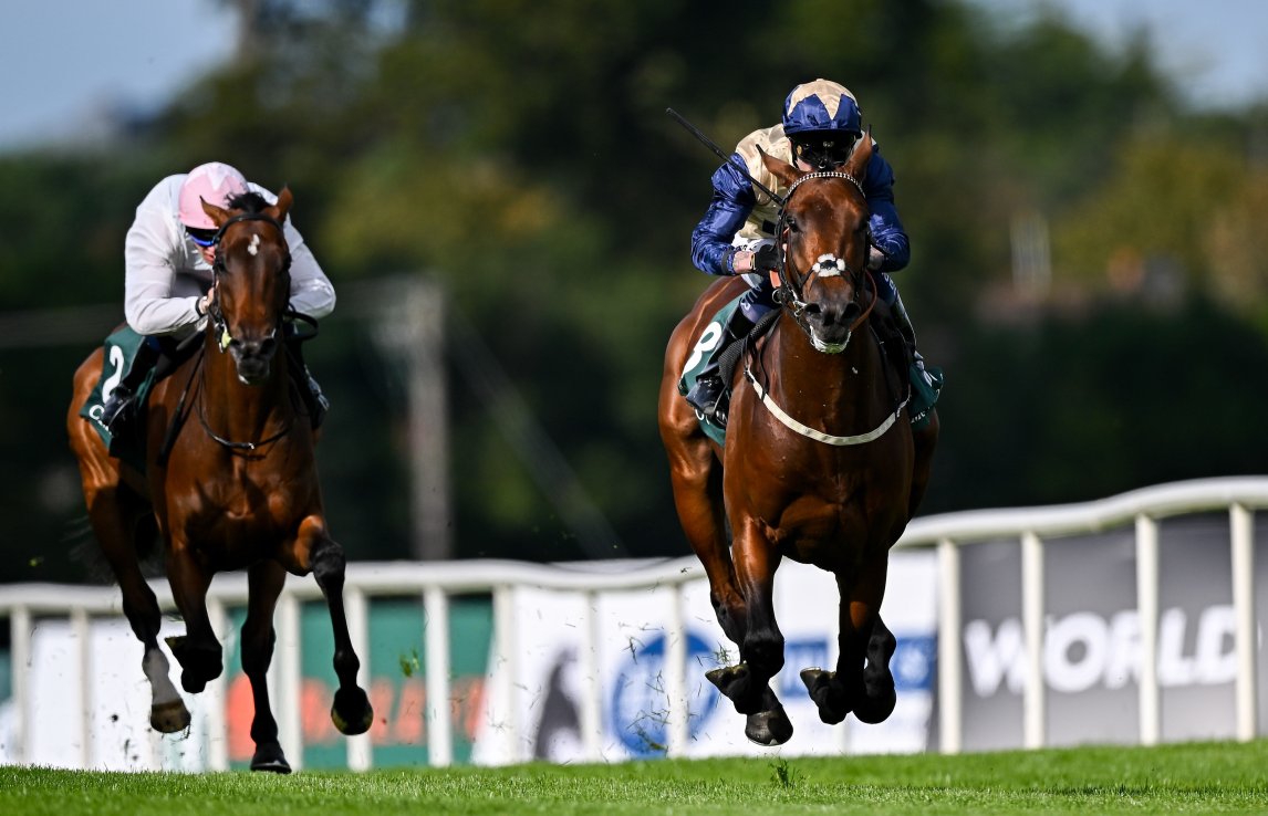 Burke to Converge on Newbury with winning double