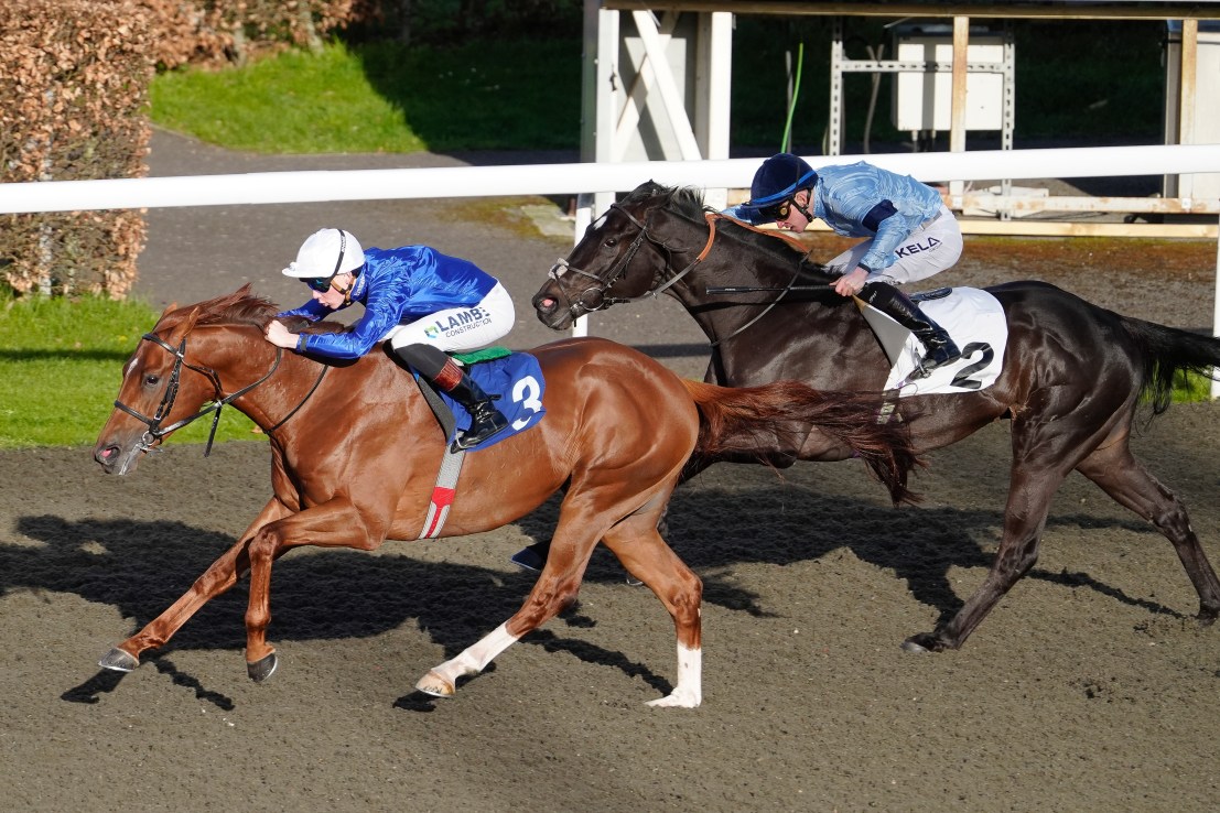 Expect Rum to pack a punch before King is crowned