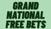 Exciting Grand National free bets promotion with colorful banners and enthusiastic bettors at a bustling racecourse