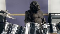 Cadbury Gorilla drumming in iconic Dairy Milk advertisement, highlighting creative marketing in the confectionery industry