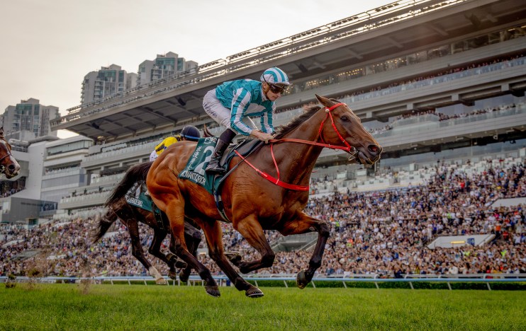 Romantic Warrior Evers showcasing strength and resilience in a powerful pose, embodying determination and grace