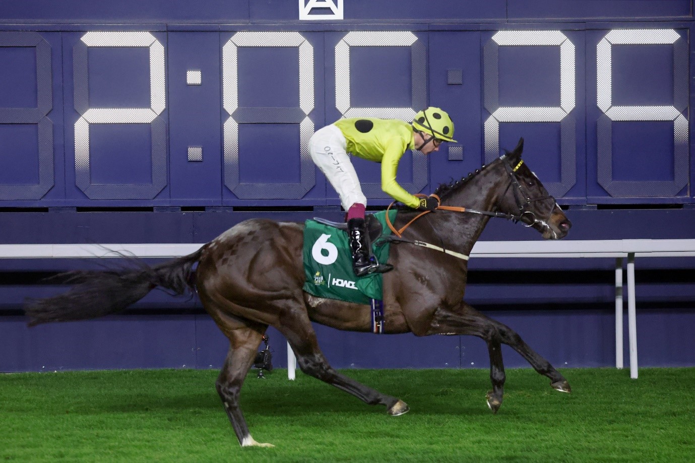 Murphy aiming to shock Hong Kong stars on FWD Champions Day