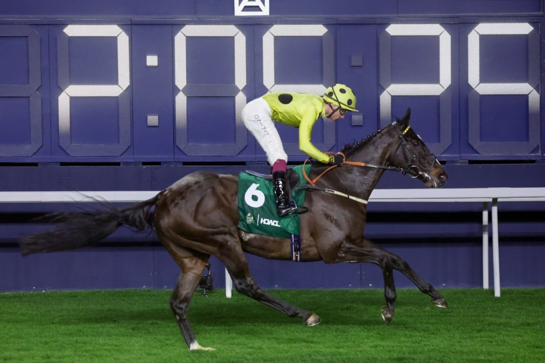 Oisin Murphy is set to partner Royal Champion in the FWD QEII Cup | HKJC