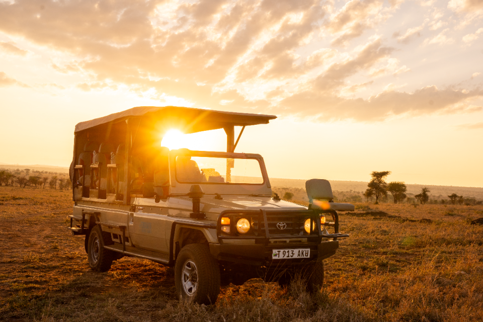 Majestic elephants roam the Serengeti under a vibrant sunset during a Tanzania safari adventure.