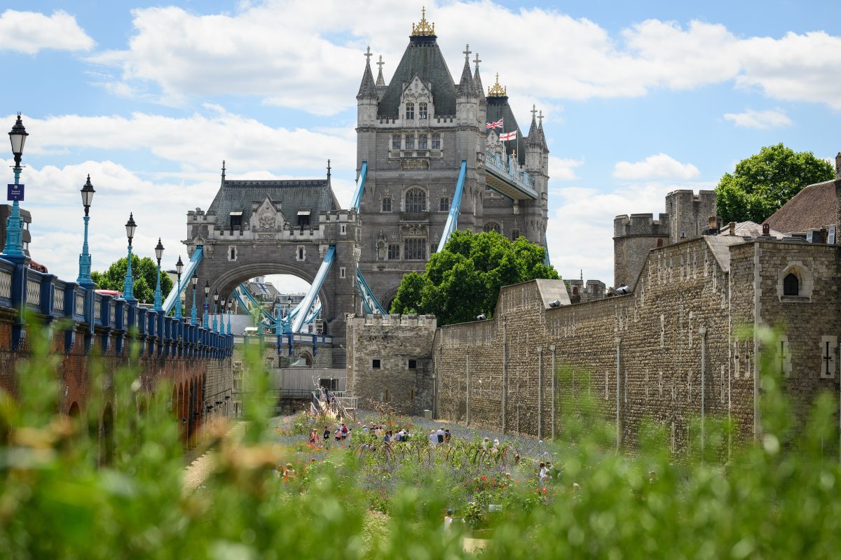 The Debate: Should cultural landmarks have equal pricing for benefits claimants?